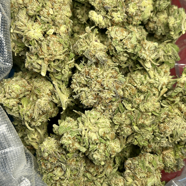 Purple Master Kush