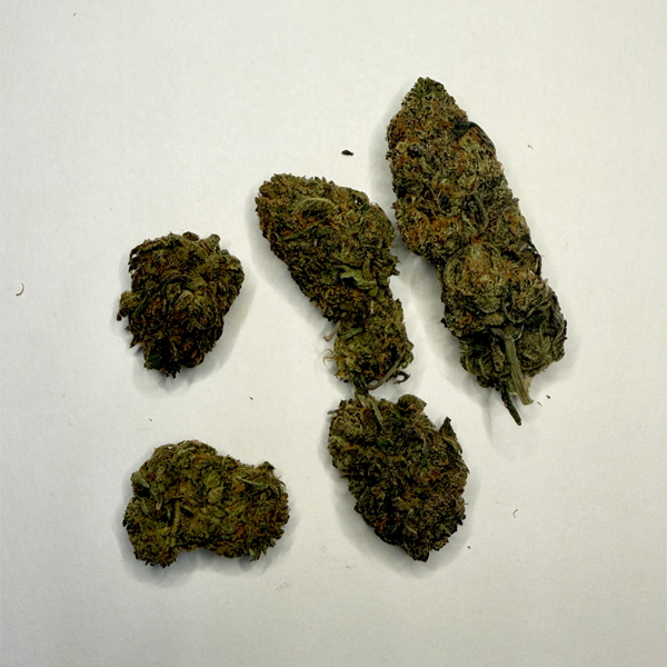 Skittlez Mintz - Image 2