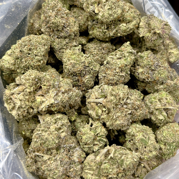 Animal Cookies