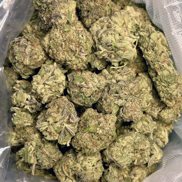 Jungle Cake