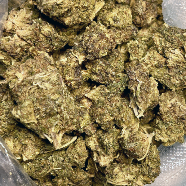 Purple Kush