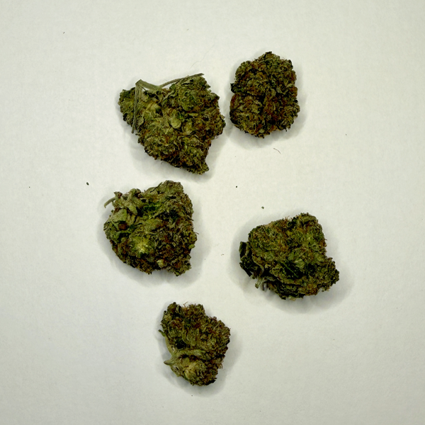Gas Mask - Image 2