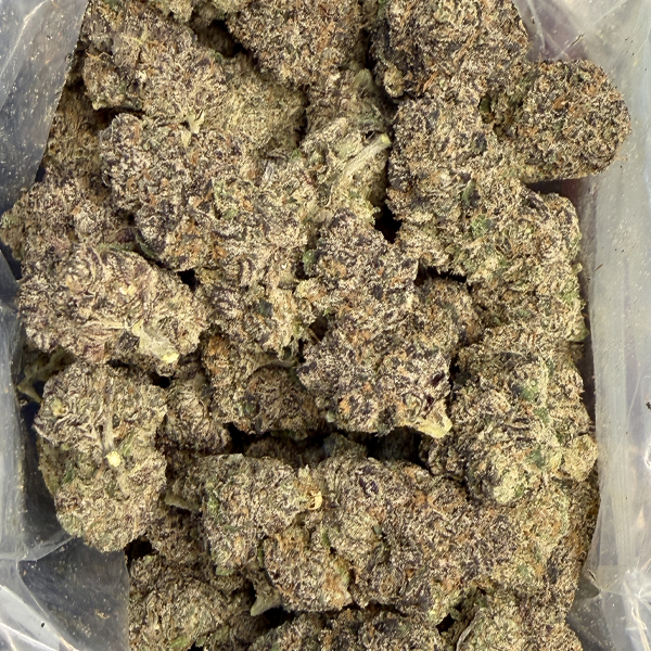 Purple Mayhem