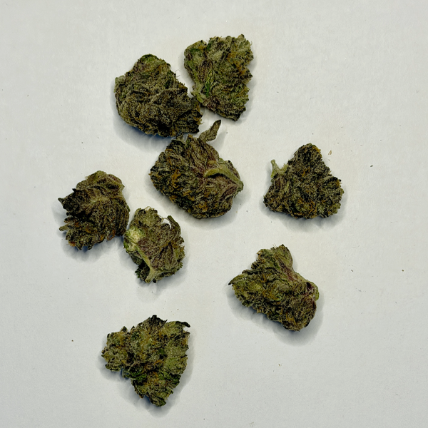Alien Gelato Small-Medium - Image 2