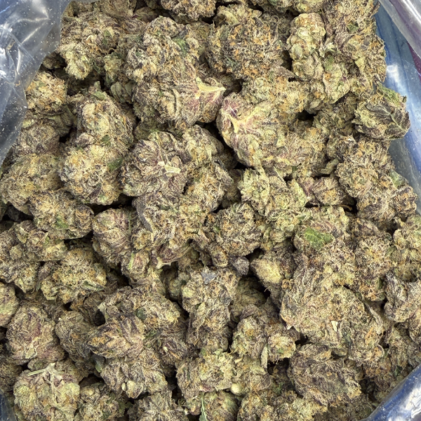 Alien Gelato Small-Medium