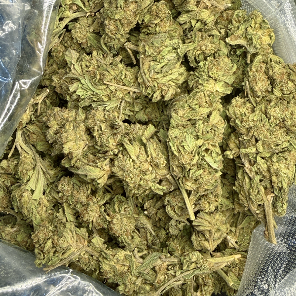 Northern Lights