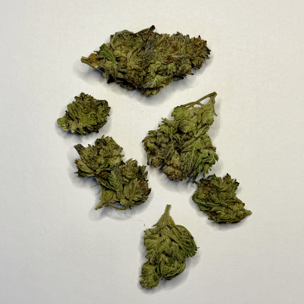 Oregon Diesel - Image 2