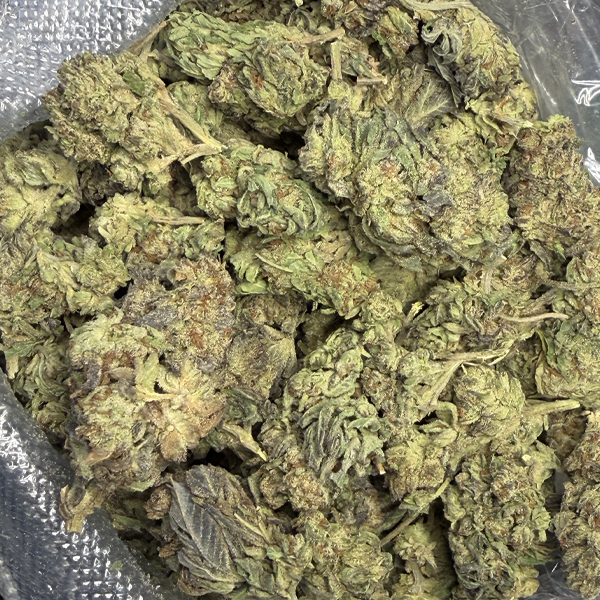 Oregon Diesel