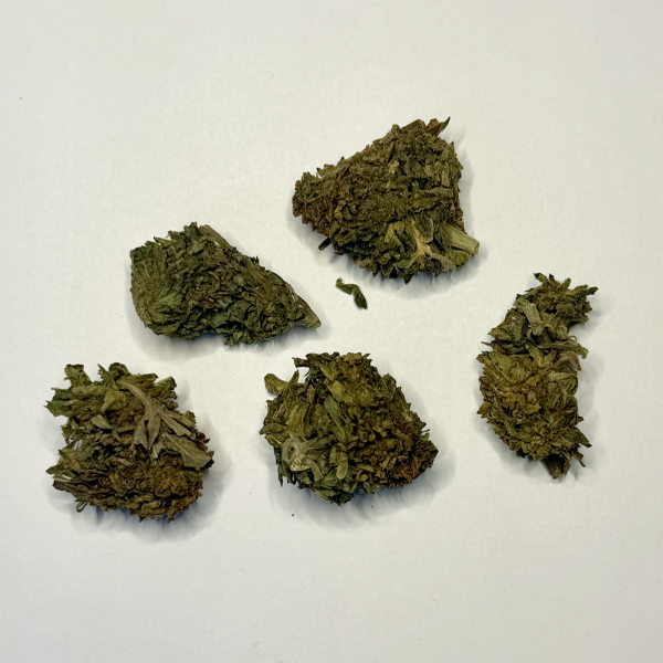 Afghani Skunk - Image 2