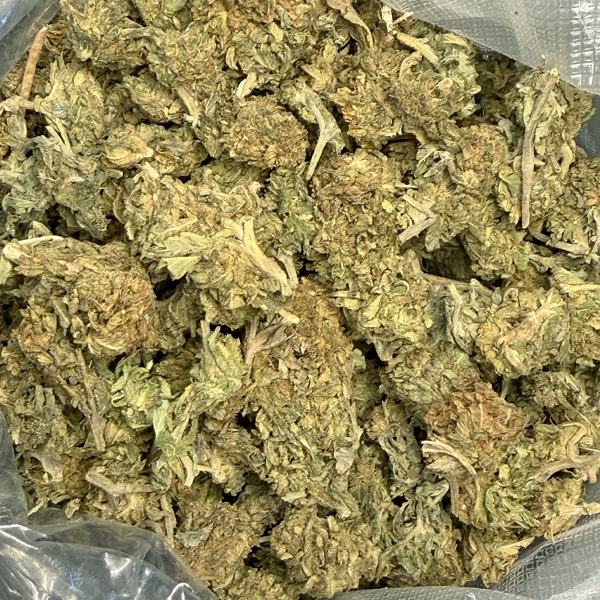 Afghani Skunk