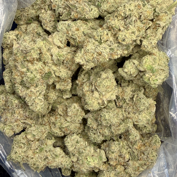 Alien Widow (LSO)