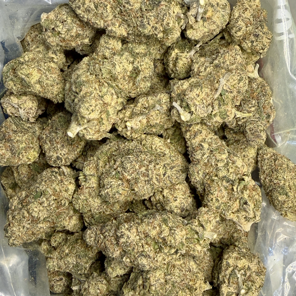 Biscotti