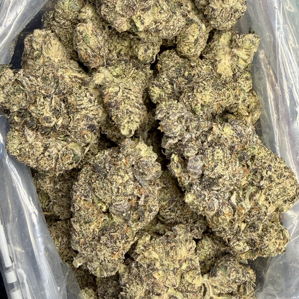 Black Cherry Gelato LSO