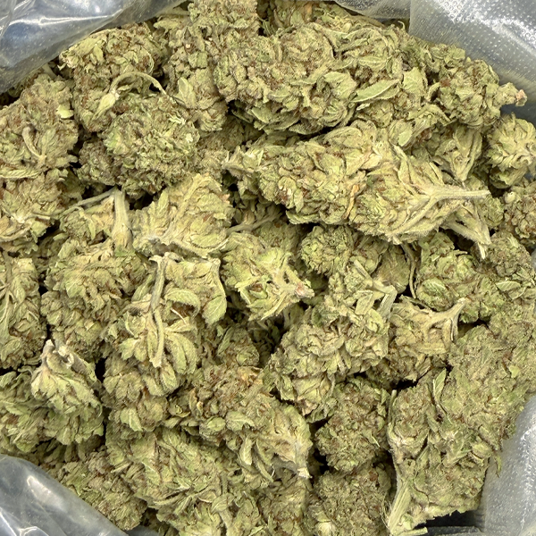 Blue Cookies