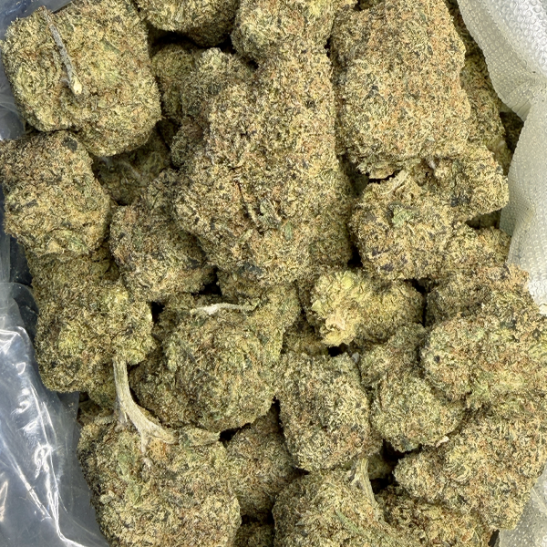 Purple Gumbo
