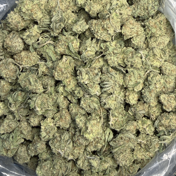 Cali Dream Smalls