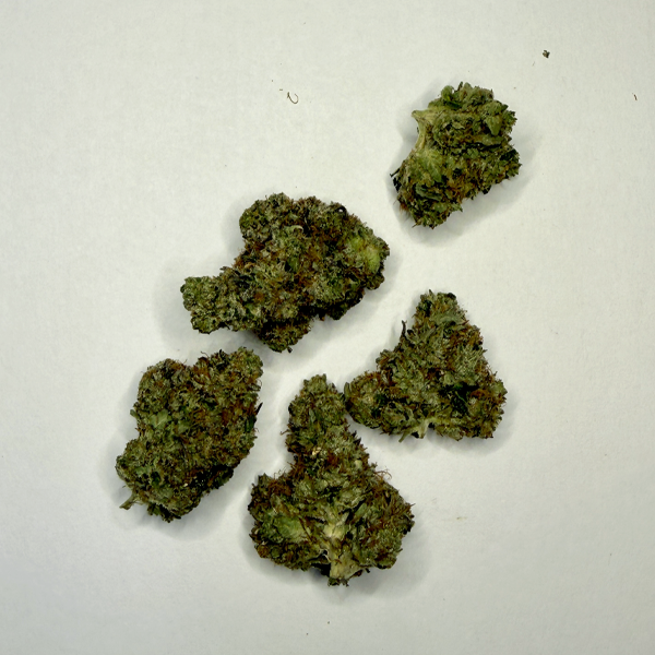 Fire Alien Master (Craft Gas) - Image 2