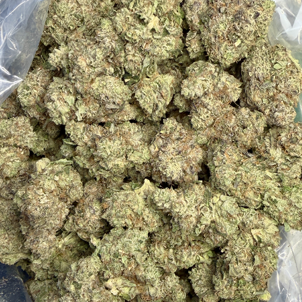 Fire Alien Master (Craft Gas)