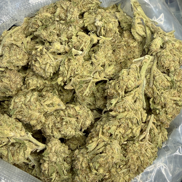 Northern Lights