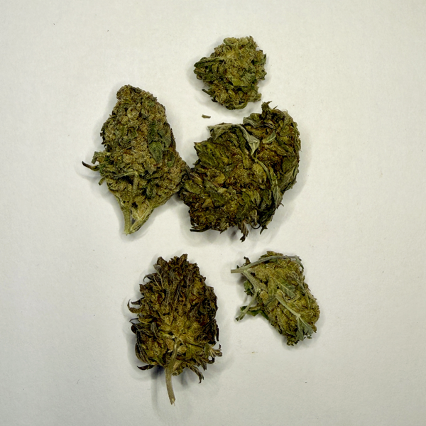 Sherbet - Image 2