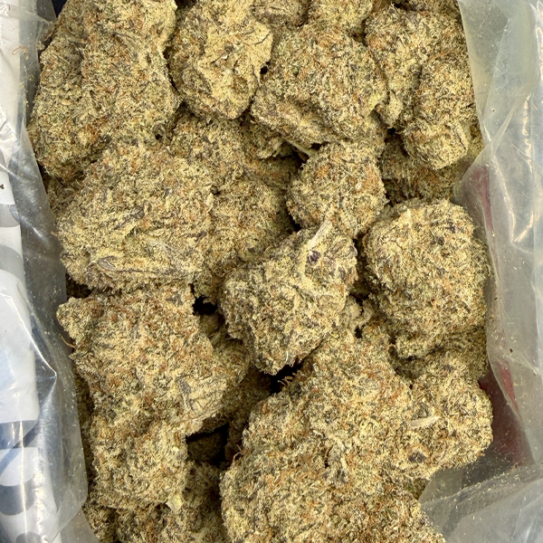 Black Zombie