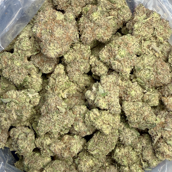 Grape Pie