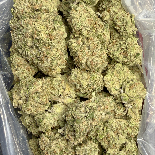 Papaya Haze